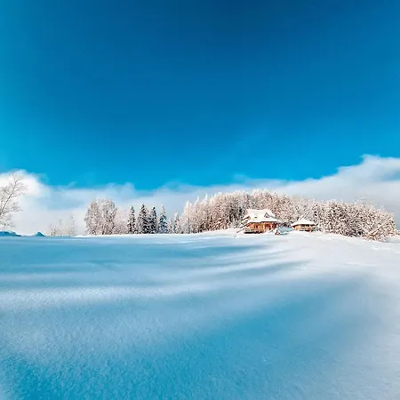 Jarogówka Stylowy Dom Góralski * Obidowa